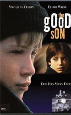 The Good Son