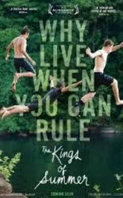 The Kings Of Summer