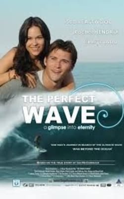 The Perfect Wave