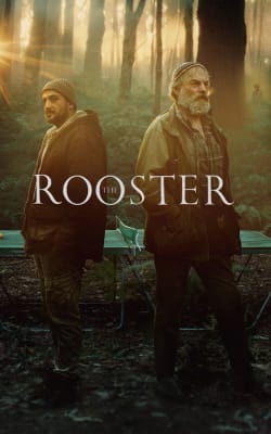 The Rooster