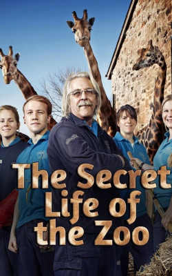 The Secret Life of The Zoo - Season 4