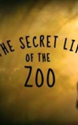 The Secret Life of The Zoo - Season 6