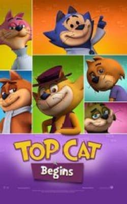 Top Cat Begins