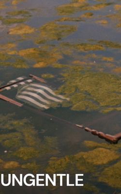 Ungentle-HD