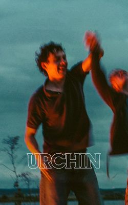 Urchin