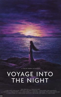 Voyage Into the Night