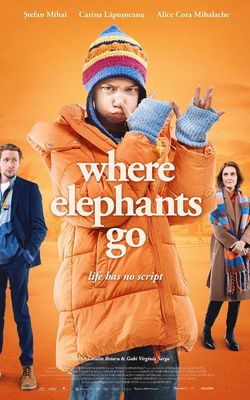 Where Elephants Go-HD