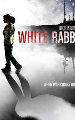 White Rabbit