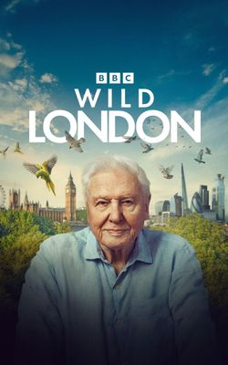 Wild London