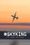 #SKYKING
