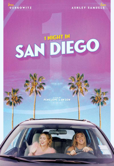 1 Night in San Diego