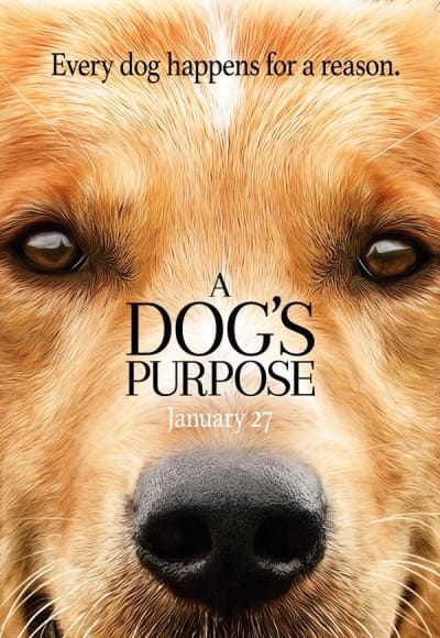 A Dog's Purpose