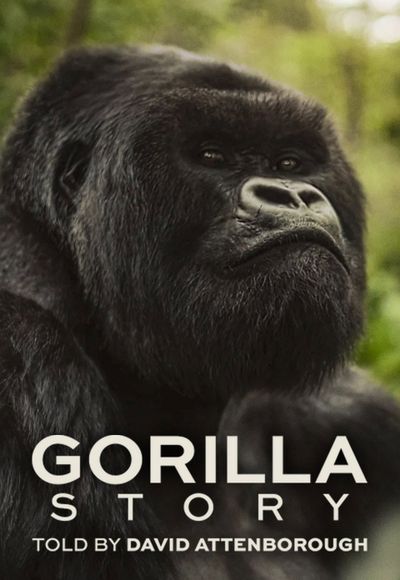 A Gorilla Story: Told by David Attenborough