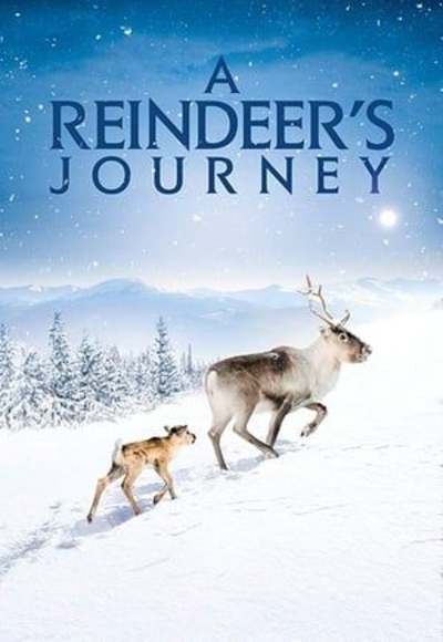 A Reindeer's Journey