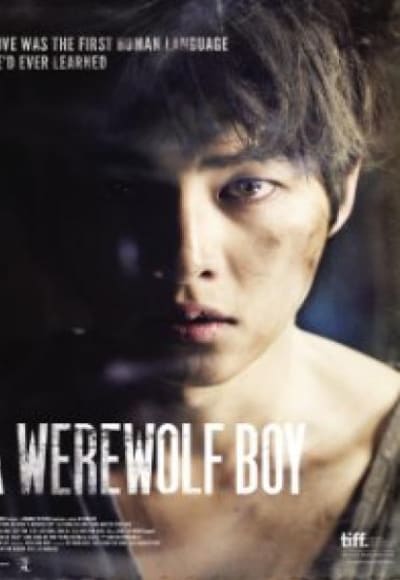 A Werewolf Boy