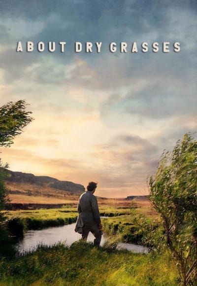 About Dry Grasses