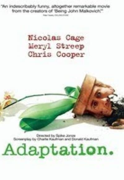 Adaptation