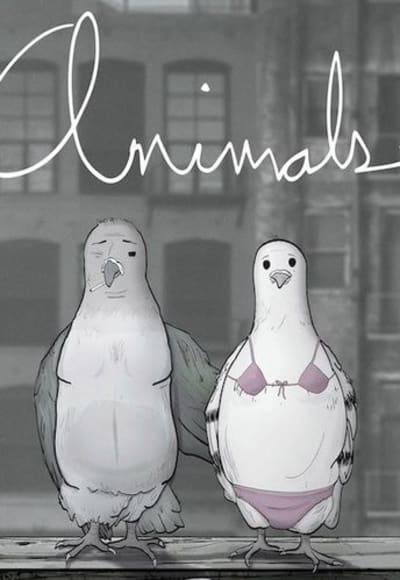 Animals - Season 2