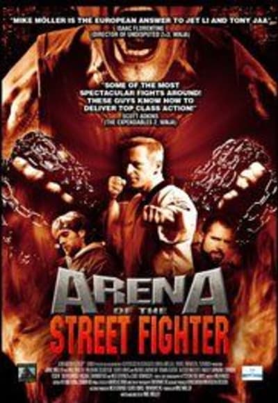 Arena of the Street Fighter