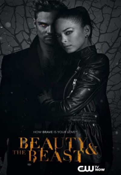 Beauty And The Beast - Season 3