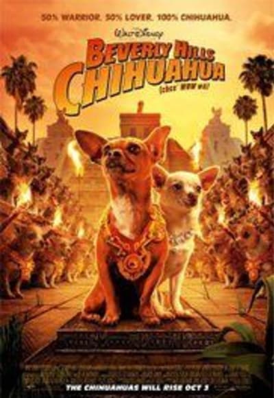 Beverly Hills Chihuahua