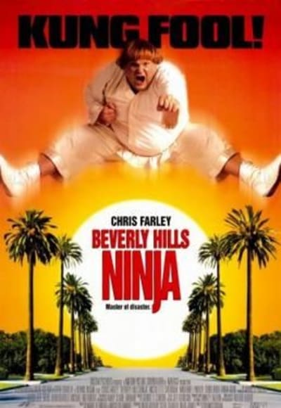 Beverly Hills Ninja