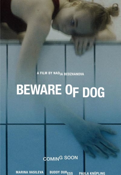 Beware of Dog