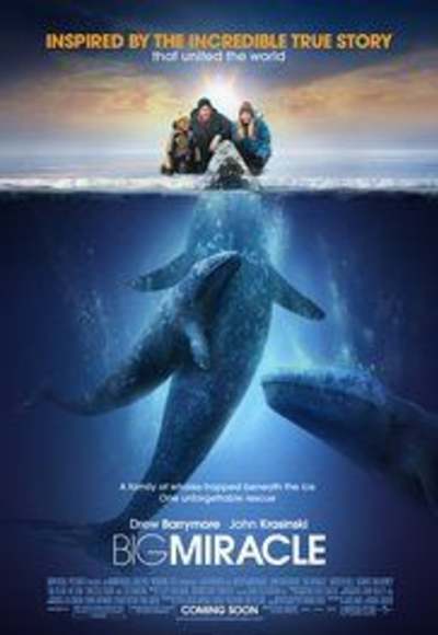 Big Miracle