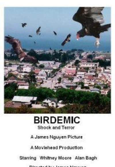 Birdemic Shock and Terror