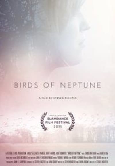 Birds of Neptune