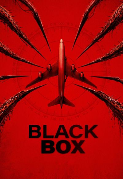 Black Box (Flight 298)