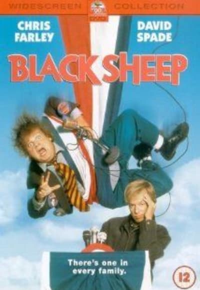 Black Sheep