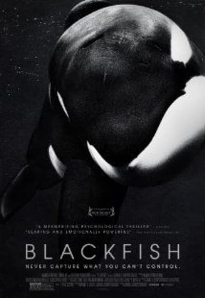 Blackfish