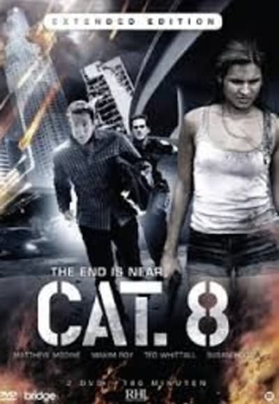 Cat 8