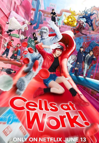 Cells at Work!