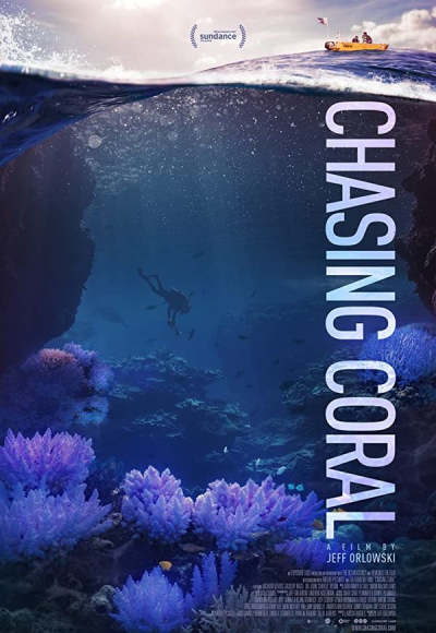 Chasing Coral