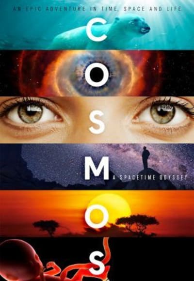 Cosmos: A Spacetime Odyssey - Season 01