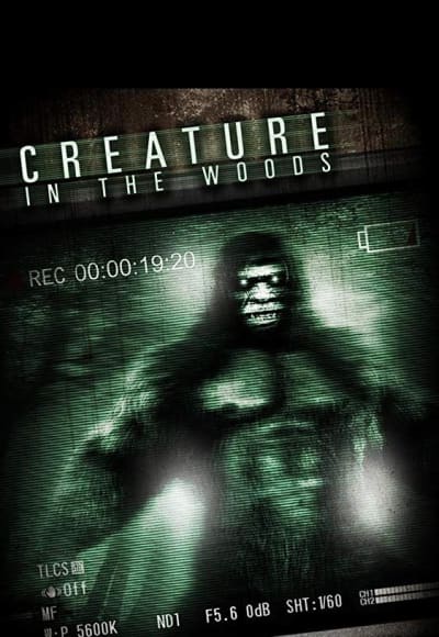 Creature in the Woods