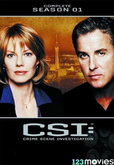 CSI - Season 1