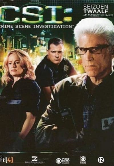 CSI - Season 12