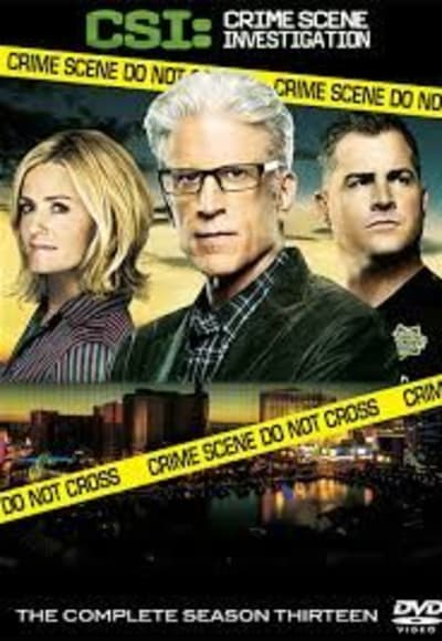 CSI - Season 13