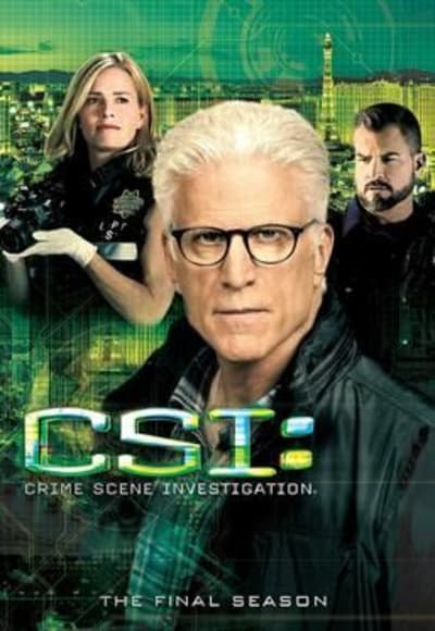 CSI - Season 15