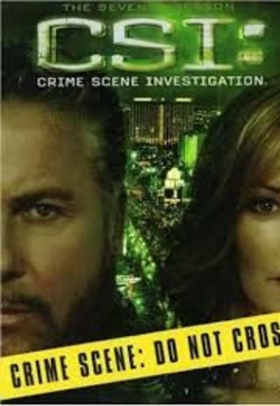 CSI - Season 7