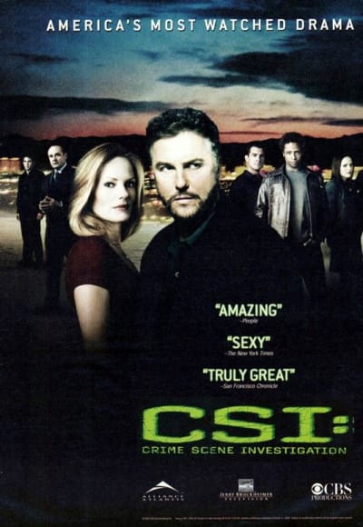 CSI - Season 8