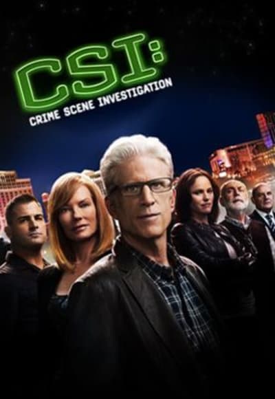 CSI - Season 9