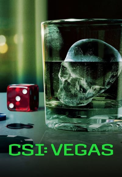 CSI: Vegas - Season 3