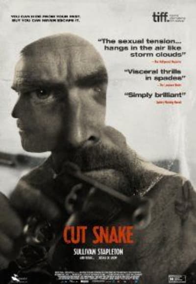 Cut Snake