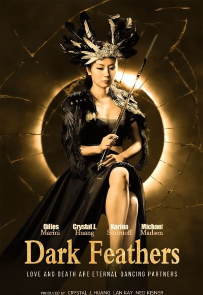 Dark Feathers: Dance of the Geisha