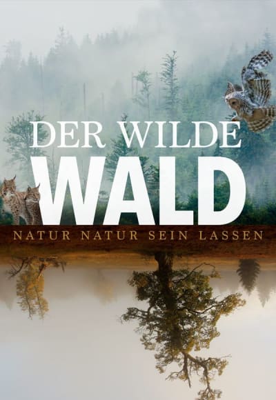 Der Wilde Wald