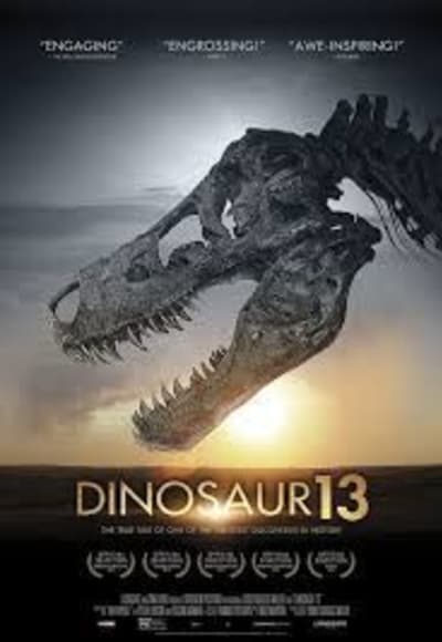 Dinosaur 13